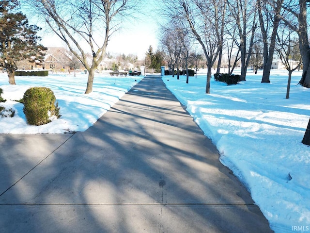 view of yard covered in snow