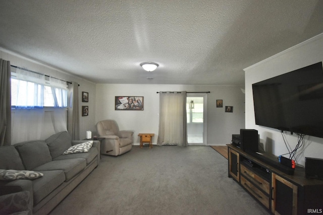 carpeted living room featuring a wealth of natural light, a textured ceiling, and ornamental molding