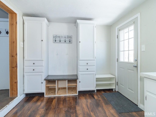 mudroom with dark hardwood / wood-style floors