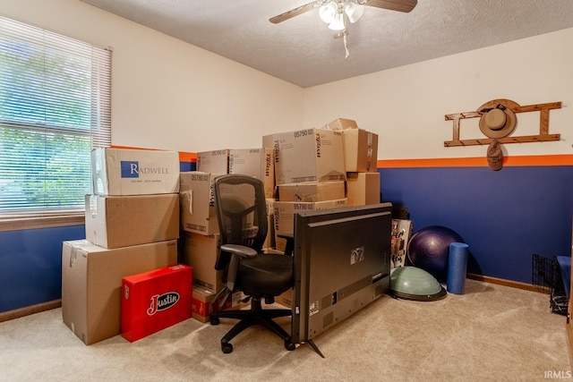 storage area with ceiling fan