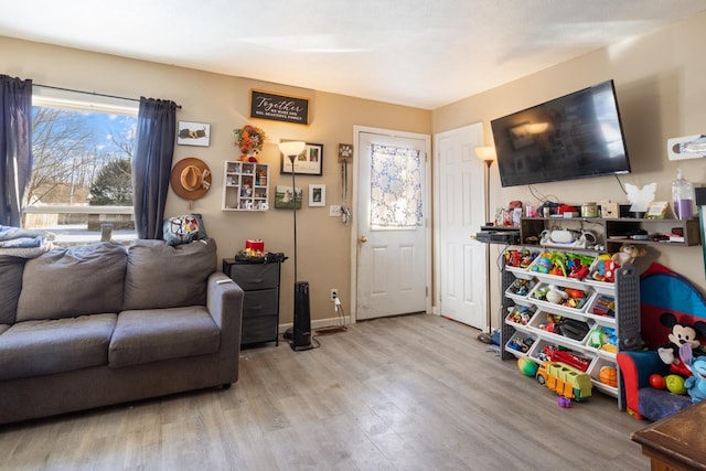 living room featuring light hardwood / wood-style flooring