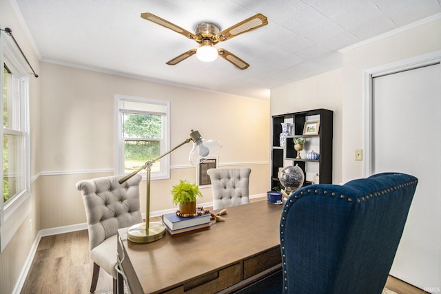 office space with ceiling fan, crown molding, and wood-type flooring