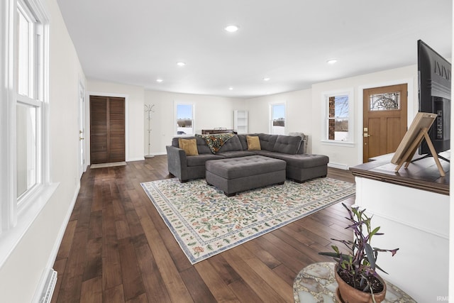 living room featuring dark wood-type flooring