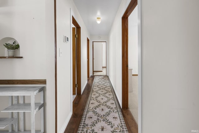 hallway with dark hardwood / wood-style floors