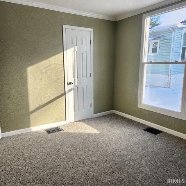 unfurnished room featuring crown molding and carpet flooring