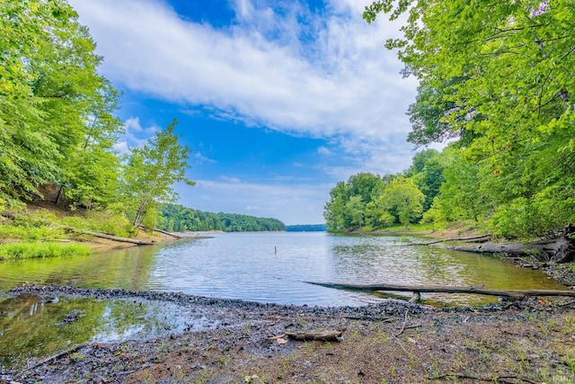 property view of water