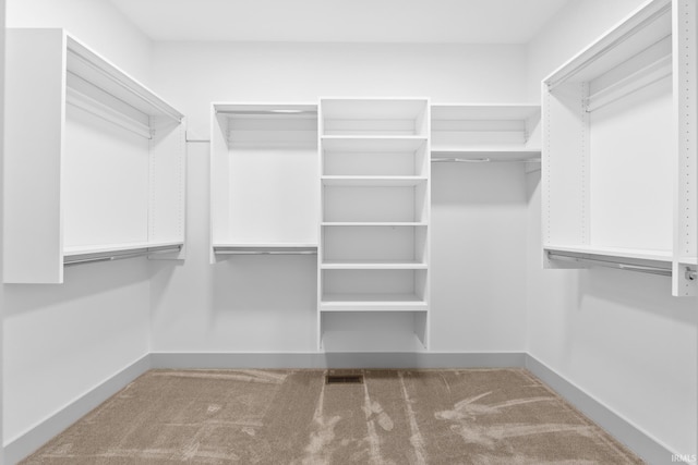 spacious closet with carpet flooring