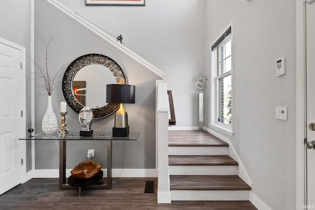 foyer featuring dark wood-type flooring and a healthy amount of sunlight