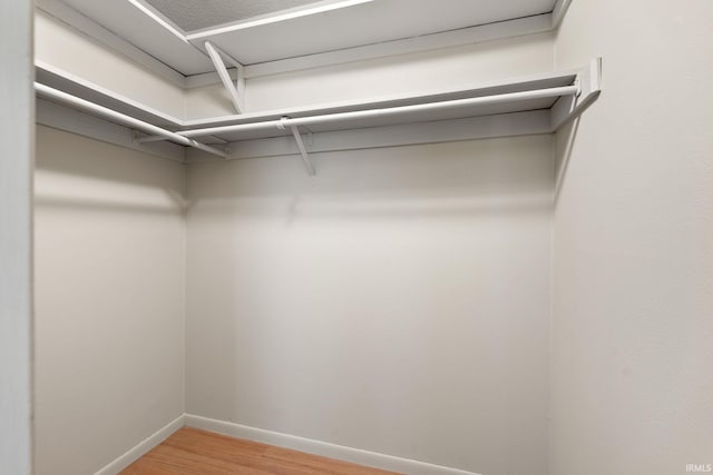 spacious closet featuring hardwood / wood-style floors