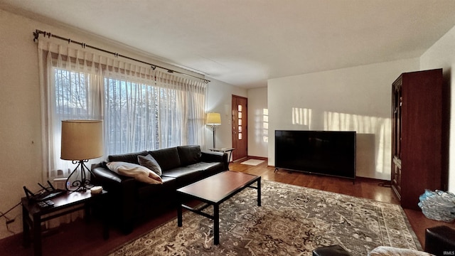 living room with wood-type flooring