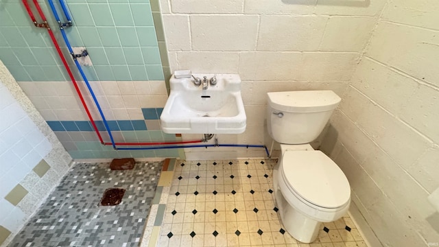 bathroom featuring toilet and sink