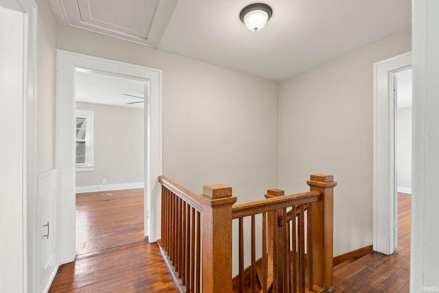 hall featuring dark wood-type flooring