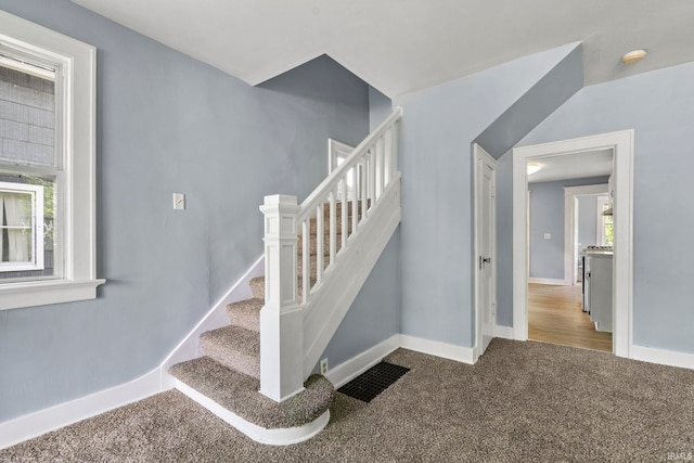 stairs with carpet flooring