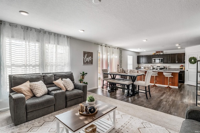 living room featuring a textured ceiling and hardwood / wood-style floors