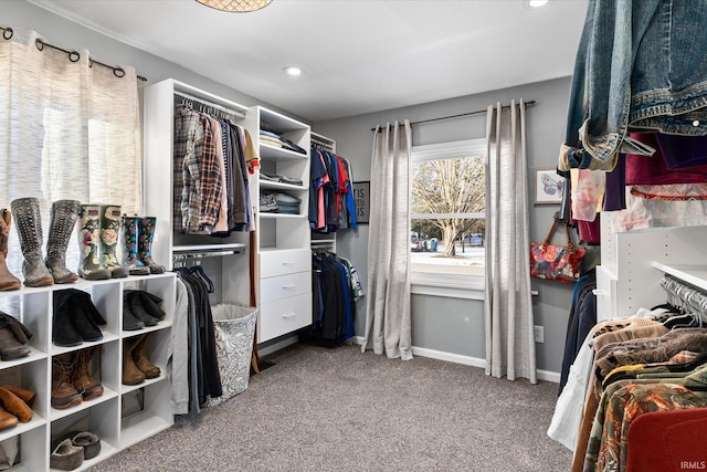 spacious closet featuring carpet