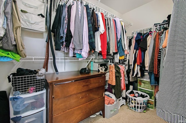 walk in closet featuring carpet