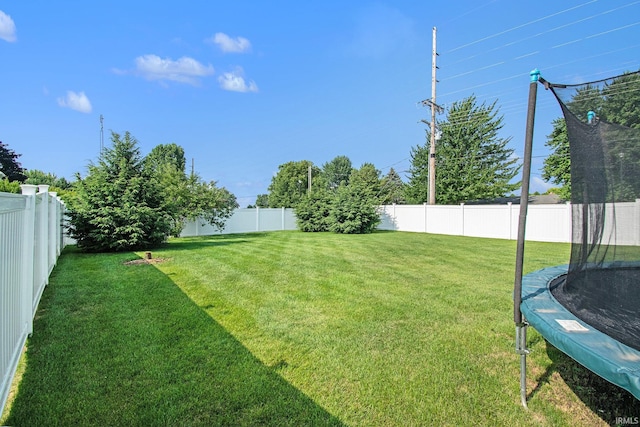 view of yard with a trampoline