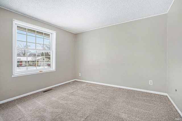 empty room featuring a textured ceiling and carpet