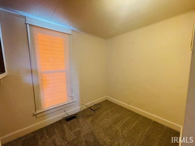 empty room featuring carpet