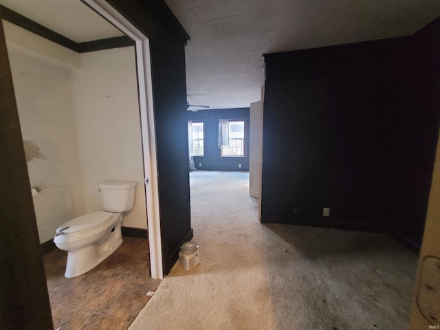 bathroom featuring toilet