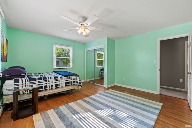 bedroom featuring wood-type flooring, ceiling fan, and a closet