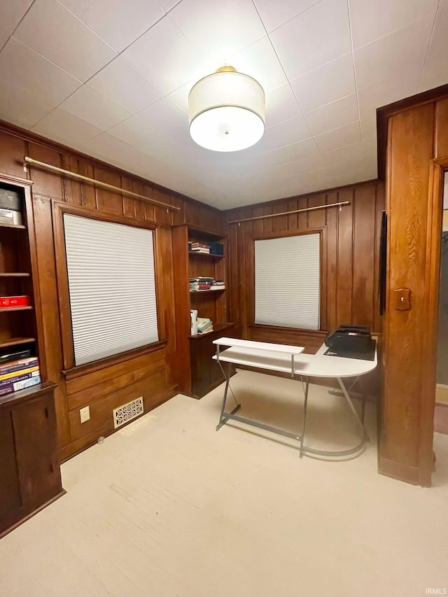 cinema room with wood walls