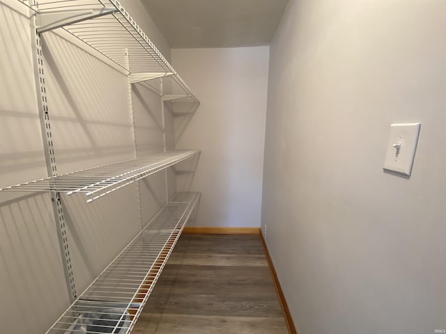 spacious closet featuring dark hardwood / wood-style flooring