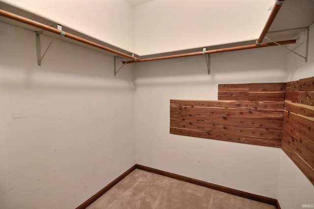 spacious closet featuring carpet flooring