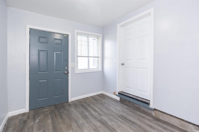 entrance foyer with dark wood-type flooring