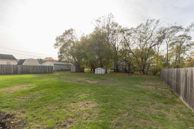 view of yard featuring a storage unit