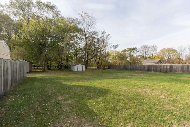 view of yard with a storage shed