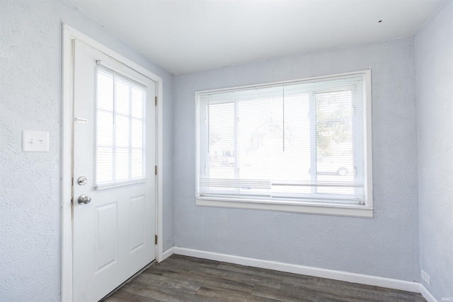 entryway featuring dark hardwood / wood-style flooring