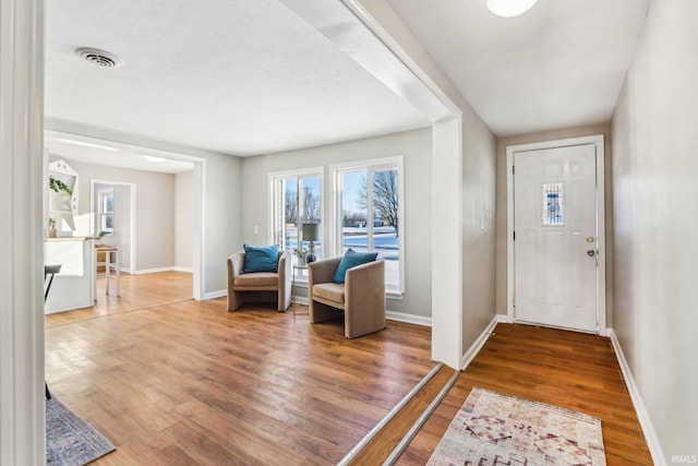 entrance foyer featuring wood-type flooring