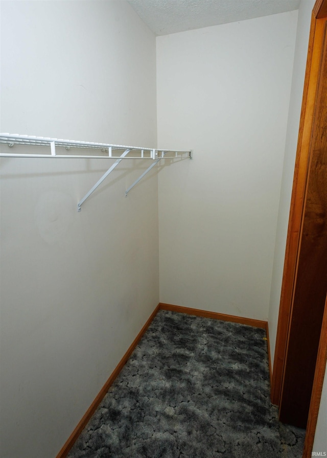 spacious closet with dark carpet