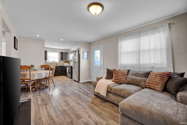 living room with wood-type flooring