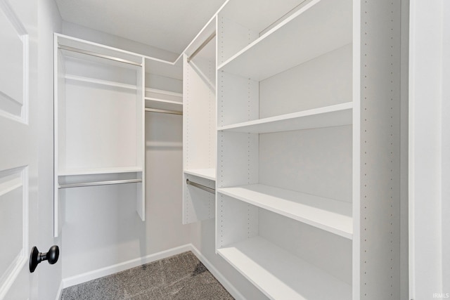 spacious closet with carpet