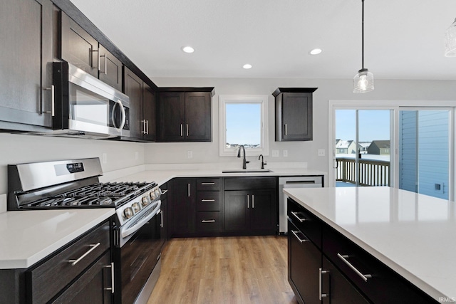 kitchen with hanging light fixtures, stainless steel appliances, light hardwood / wood-style floors, dark brown cabinets, and sink