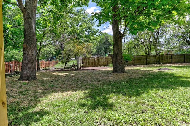 2444 Clover Cir, Newburgh, IN 47630 - view of yard