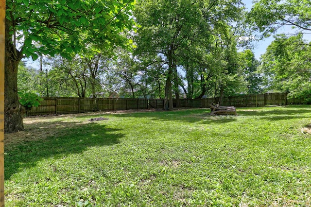 2444 Clover Cir, Newburgh, IN 47630 - view of yard