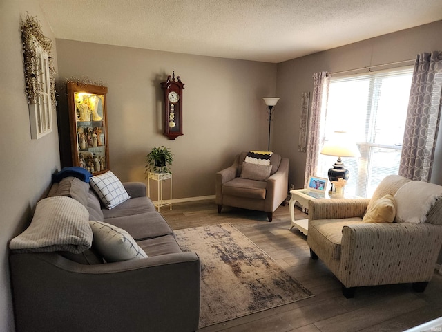 living room with a textured ceiling and wood-type flooring