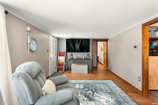 living room featuring light wood-type flooring