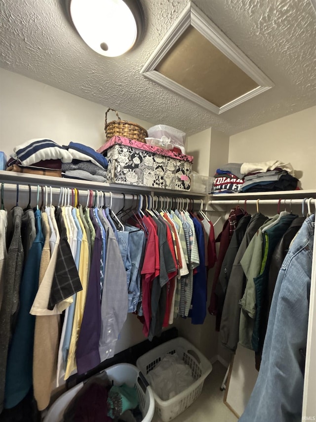 walk in closet featuring carpet flooring