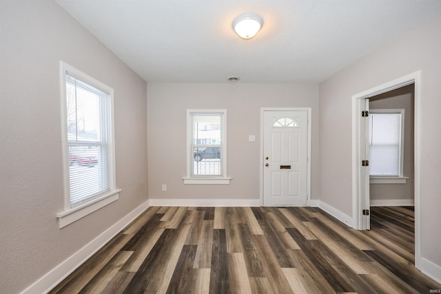 foyer entrance featuring plenty of natural light and dark wood-type flooring