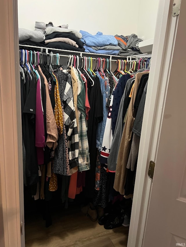 walk in closet featuring hardwood / wood-style flooring