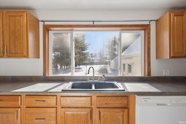 kitchen with white dishwasher and sink