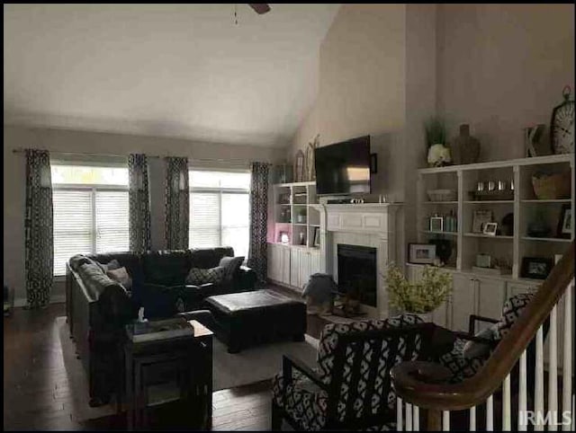 living room with lofted ceiling, a fireplace, and wood-type flooring