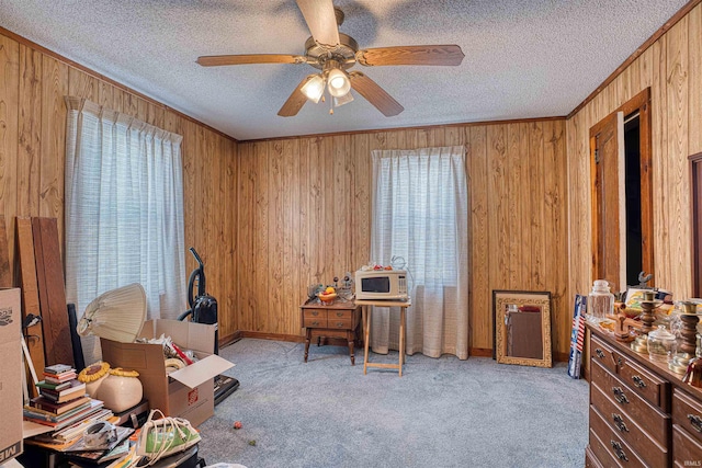 misc room with light carpet, crown molding, and wooden walls