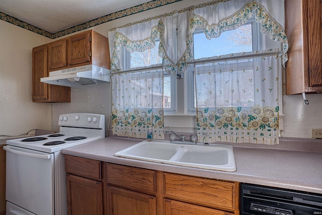 kitchen featuring a healthy amount of sunlight, white electric range, black dishwasher, and sink