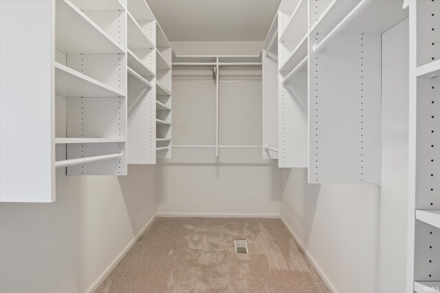 walk in closet featuring carpet floors