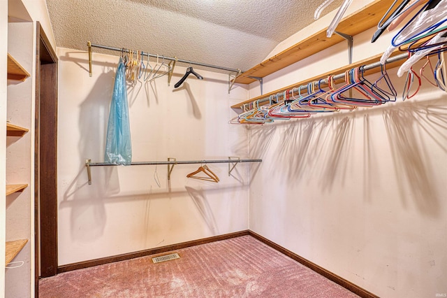 spacious closet with carpet flooring